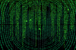 Intelligence Management Services (IMS)